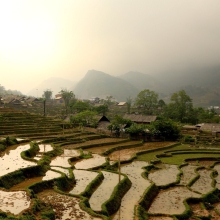 Rice terraces in Sapa, Vietnam