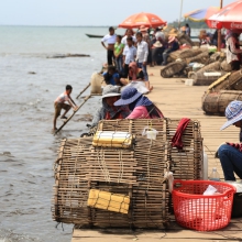 Crab market in Kep, Cambodia