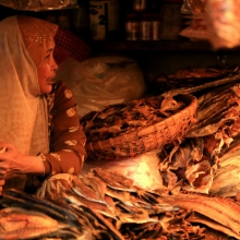 Dried fish vendor at Kampot market, Cambodia
