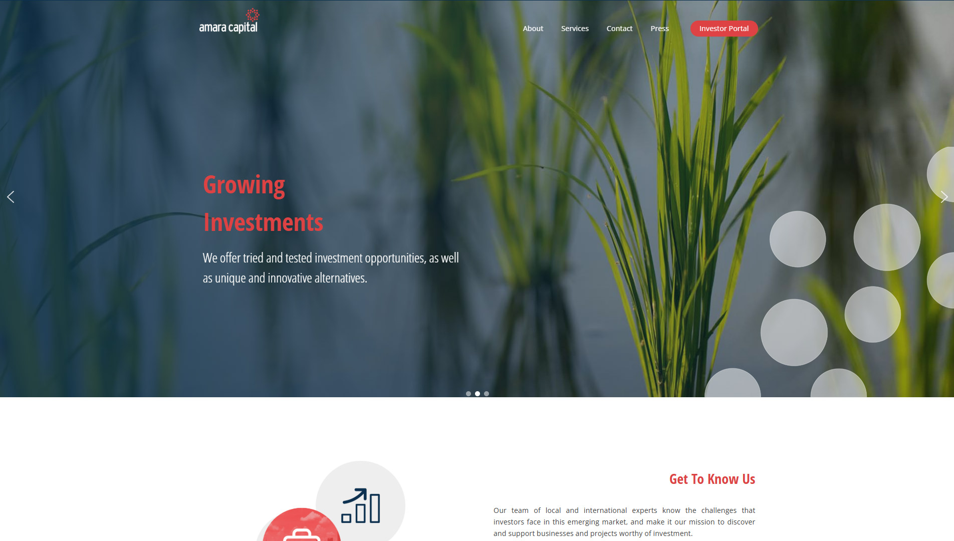 Amara-Capital-Website-Design-1