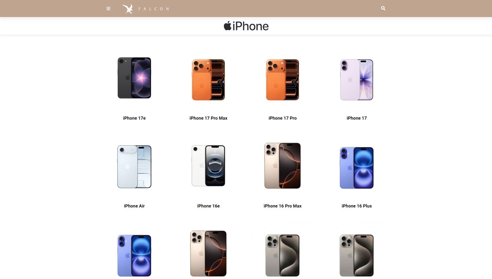 Falcon-Website-Design-4