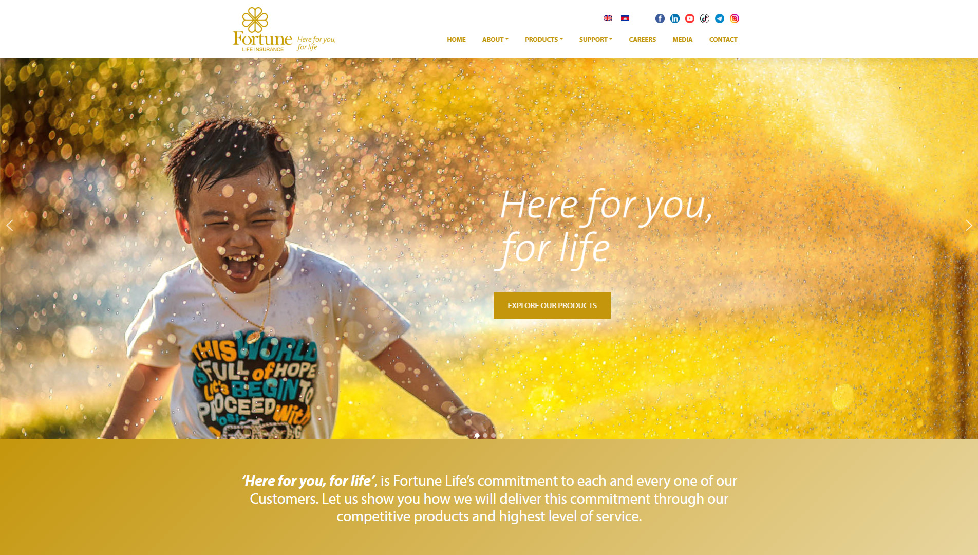 Fortune-Life-Website-Design-1